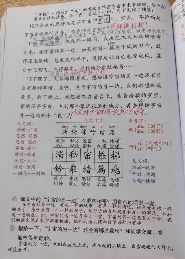 我变成一棵树的课堂笔记，小学三年级下册语文19课简单笔记（第五单元课堂笔记）