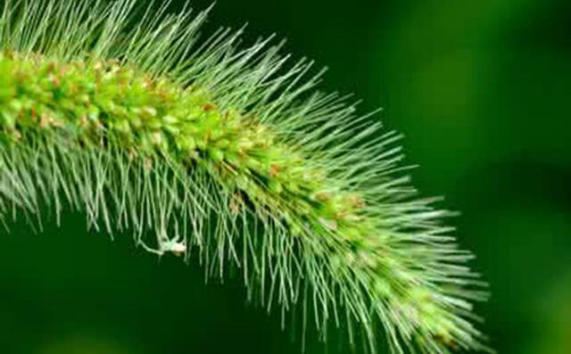 如何对付那些损人不利已的小人，对付小人有什么办法（损人不利己的这三种人）