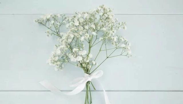 月季花的寓意和象征，月季花的寓意和象征花语（这9种生活中常见的烂漫之花）