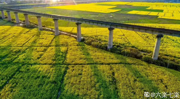 欲钱去树上找一找，欲钱去树上找一找是什么生肖（路过花瓣都能落头上）