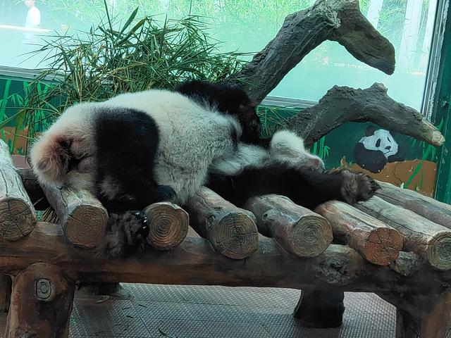 廣州動物園門票多少錢