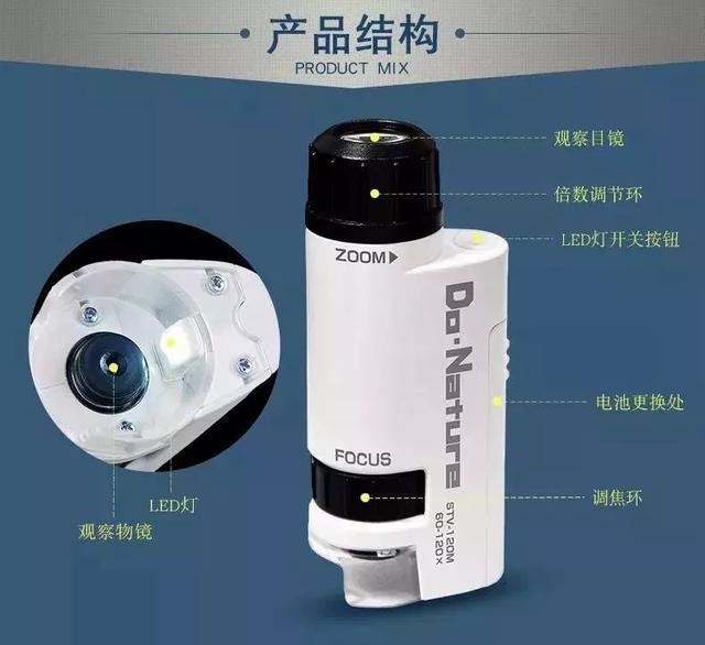 显微镜观察洋葱表皮细胞步骤，怎样使用显微镜观察洋葱表皮细胞正确步骤（放大120倍看世界）