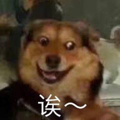 微博怎么设置备注，微博备注在哪里设置（这个忍了9年的毛病）