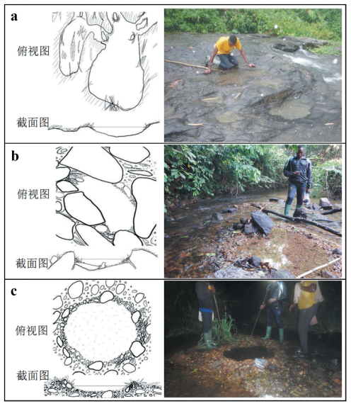 蛙类品种大全，蛙类品种大全有毒（地球上7238种青蛙和蟾蜍中）