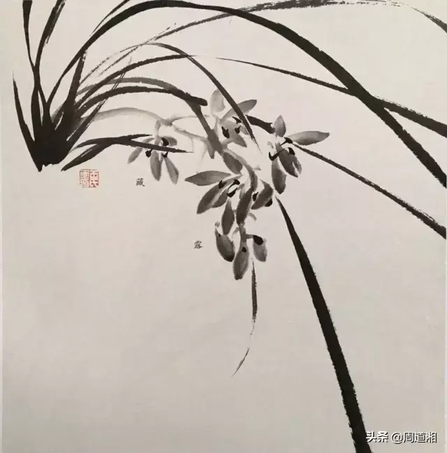 草的简笔画怎么画，猪笼草的简笔画怎么画（兰草的画法）