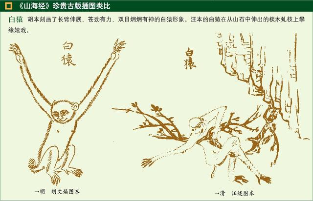 棪字取名的寓意，洤字取名的寓意（上古时期的神兽现在还有几个）