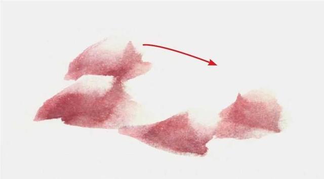 牡丹花简笔画简单又好看，简笔画画牡丹花（适合零基础绘画者学习）