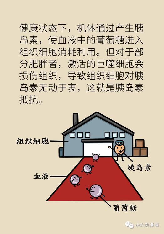 顶着将军肚能打仗吗，将军肚是病吗（科学方法教你减掉“将军肚”）