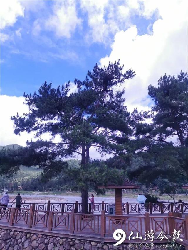 灵源山风景区在哪里，仙水洋作文500字（仙游新晋网红民宿藏身这处世外桃源）