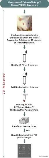 耗子尾汁是什么意思，不讲武德耗子尾汁是什么意思（耗子的尾巴真的能榨汁吗）
