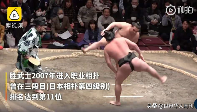 相扑运动员寿命，日本相扑冷知识（日本相扑选手因新冠去世）