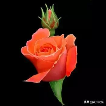 七月七日是情人节吗,每个月十四号都是什么情人节(今天是7月7日情人节) 七月七日是情人节吗,每个月十四号都是什么情人节(今天是7月7日情人节)