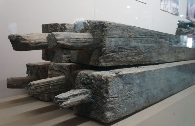 【黄柏木】黄柏木家具好吗，黄柏树木质怎么样（中国最恐怖古墓）