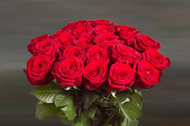 各种玫瑰花的含义，各色的玫瑰花有什么含意（一篇文章认全花店必备80种玫瑰花）
