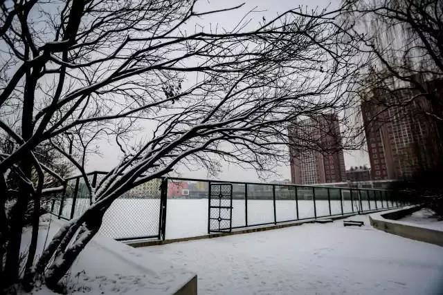 辽东学院宿舍条件怎么样，辽东学院宿舍几人间（辽宁省普通高等院校）