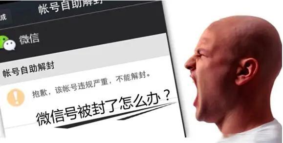 微信自动加人软件(微商加人神器)