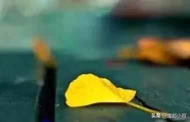 带龙的四字成语有哪些，带龙字的四字词语有哪些（儿童成语大全）