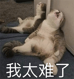 怎么消除word页眉一条杠，如何去掉Word页眉上横线（Word中的页眉横线就是删不掉）