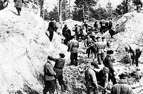 波兰总统专机失事事件，波兰总统专机（2010年波兰总统专机在俄坠毁）