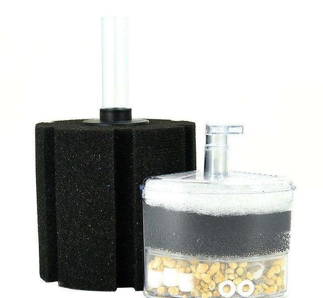 水妖精的正确使用，水妖精是干嘛用的（小型鱼缸里放置了水妖精如何使用效果比较好）