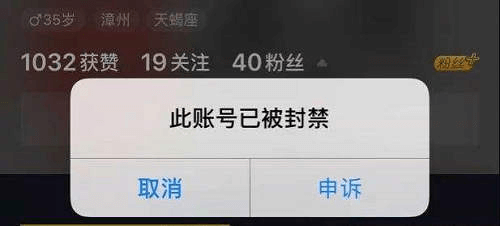 抖音数据分析软件(短视频数据分析工具)