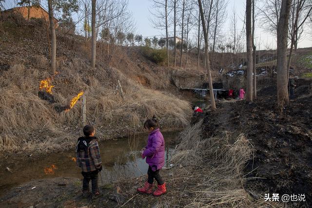 马虾怎么养，大马虾的养殖技术（你小时候也这么不怕冷吗）