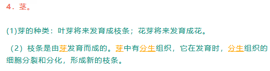 被子植物有哪些，被子植物有哪些常见的（中考生物每日一背——被子植物的一生）