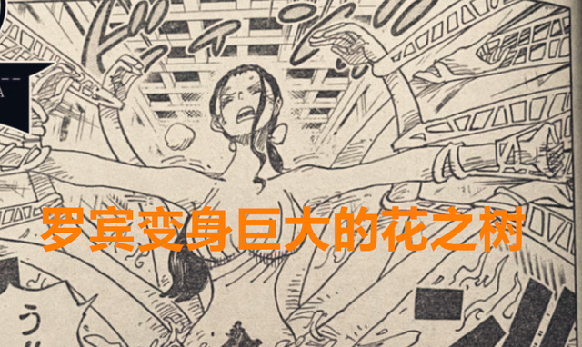 海贼王卡里布是被谁打败的，海贼王卡里布是被谁打败的漫画（罗宾秒变翼龙打败了玛丽亚）
