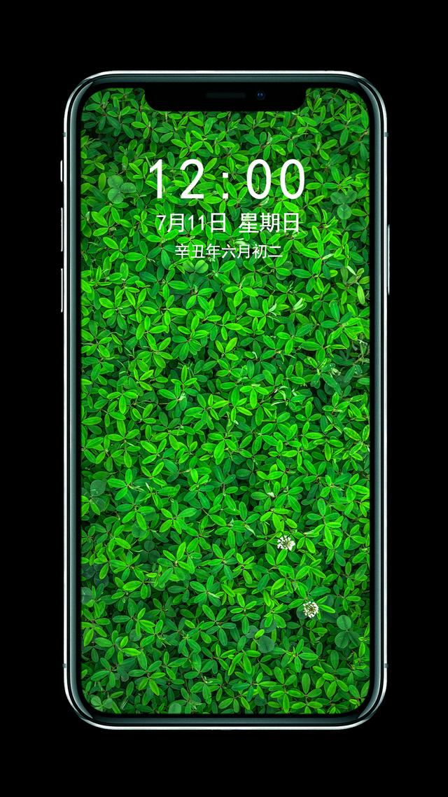 淡绿色手机壁纸小清新图片