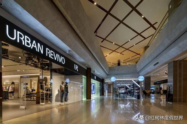 lafetto是什么运动品牌，LA运动品牌（深耕海南，助力自贸港建设）