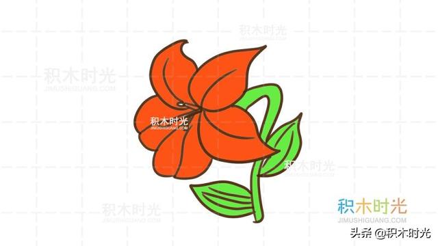 百合花的简笔画，如何画漂亮的简笔百合花（百合花简笔画教程）