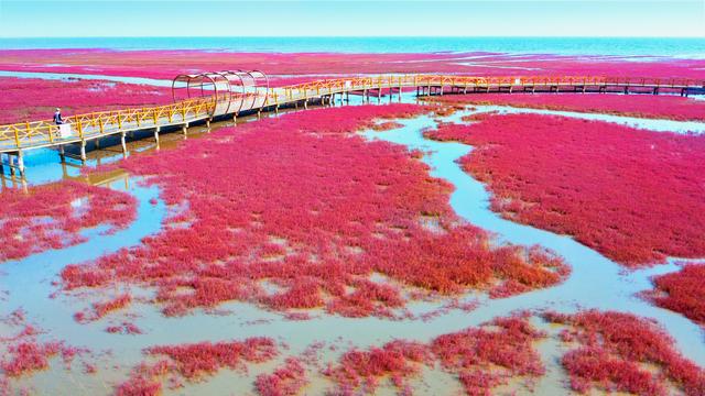 凝望红海滩，凝望红海滩阅读及答案（潮涨潮落红海滩）