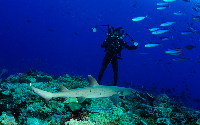 巴布亚新几内亚的习俗礼仪，巴布亚新几内亚重要节日（我就要用华为，美国也挡不住）