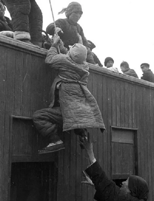 河南蝗灾发生在哪一年，河南蝗灾死了多少人（大饥荒中的汤恩伯到底有多狠）