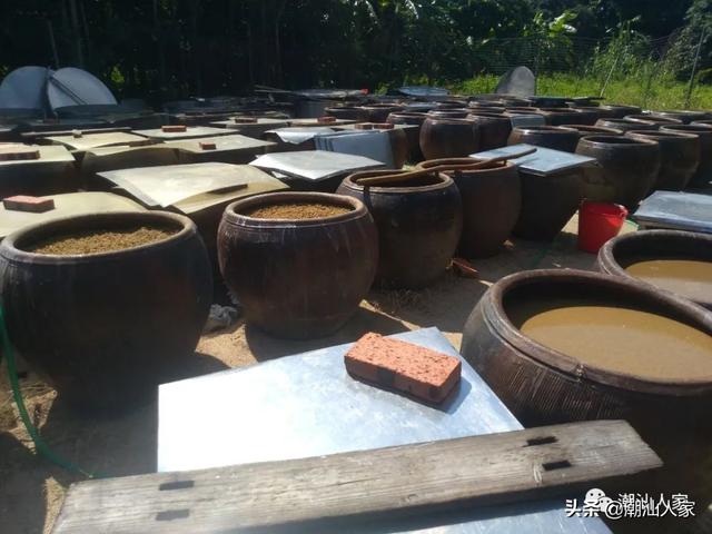 潮汕酱油豆的制作方法，潮汕酱油豆的制作方法和步骤（普宁这种酱油你打过吗）