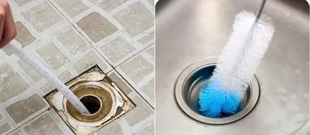 家里有小飞虫从哪里来,家里小飞虫从哪里来的(家里莫名出现的小飞虫你都认识吗) 家里有小飞虫从哪里来,家里小飞虫从哪里来的(家里莫名出现的小飞虫你都认识吗)