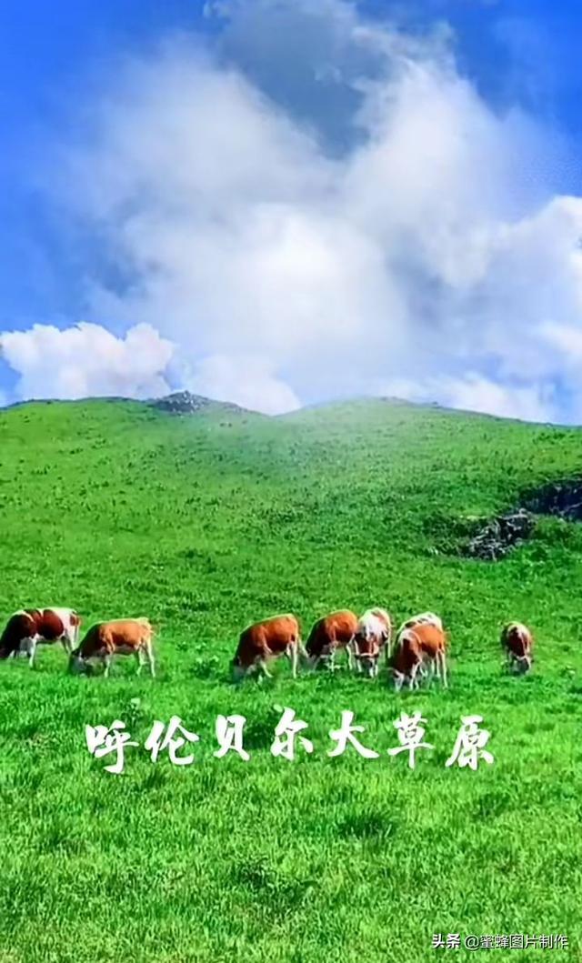 呼伦贝尔大草原图片，内蒙古呼伦贝尔草原最美景色（壁纸美图，呼伦贝尔大草原风光）