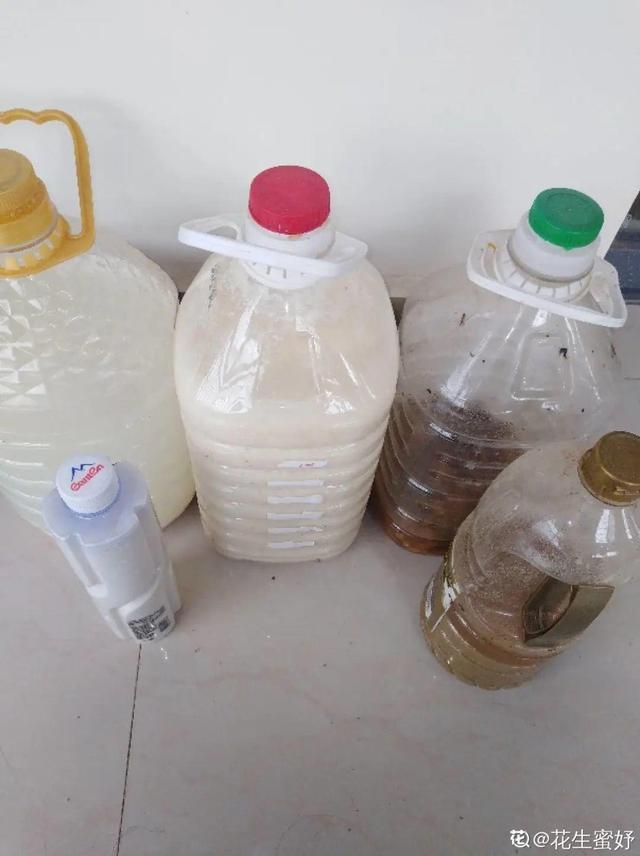 如何自制氮肥，自制氮肥怎么做（氮磷钾肥别买了）