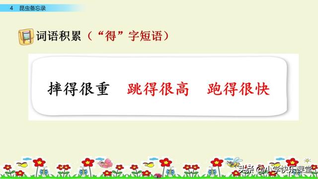 什么的硬翅，什么的硬翅？填四个字。（小学部编三年级语文下第4课《昆虫备忘录》图文+知识点+同步练习）