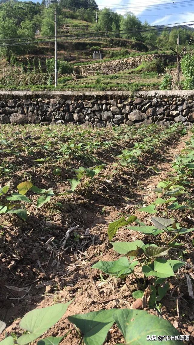 怎样惩罚自己成绩不好，怎样惩罚自己成绩不好的人（学习不努力，父亲这样惩罚我）