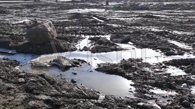 石油资源会枯竭吗，假如石油全部用完了