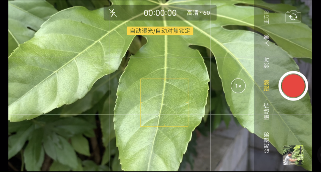 怎样拍视频(想学拍视频从哪里开始)
