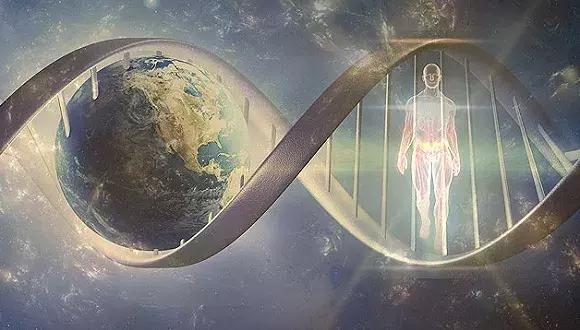  世界上第一位换头手术，捷报：人类首例换头手术成功 