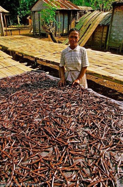 非洲最大的岛屿，非洲最大的岛屿叫什么（非洲最大的岛——马达加斯加岛）