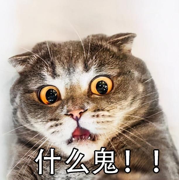 四个月念什么字，四个月念什么字怎么读（震惊，四月居然是那样的月）