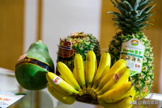 菊苣怎么读是什么意思，菊苣怎么读（这百种水果不要说吃过）