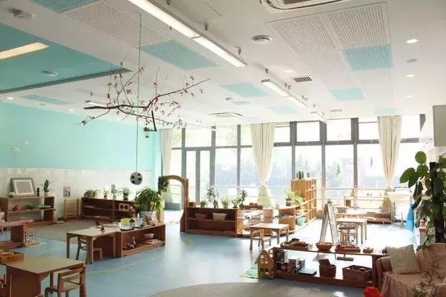 上海市青浦区晨星幼儿园园长，青岛晨星幼儿园（2019上海首批幼儿园开放日信息汇总）