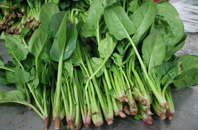 春季适合吃的黄金菜，春天必吃8大黄金菜