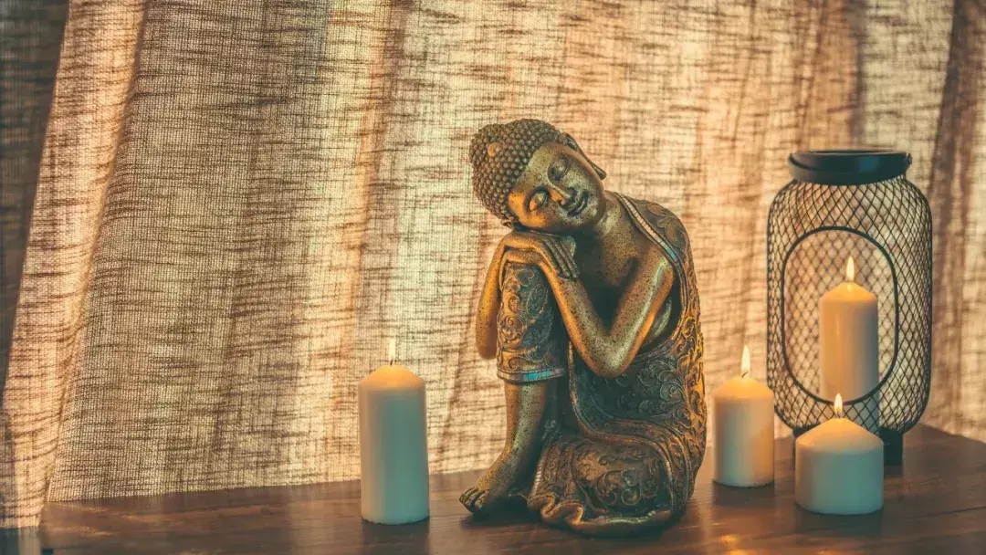 什么诺必寡什么填空，什么诺必寡（解开了很多人的心结）