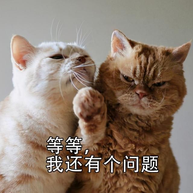 四个月念什么字，四个月念什么字怎么读（震惊，四月居然是那样的月）